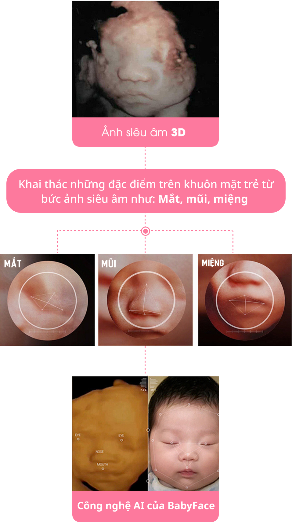 Dự Đoán Mặt Con Qua Ảnh Siêu Âm: Hành Trình Khám Phá Khuôn Mặt Tương Lai